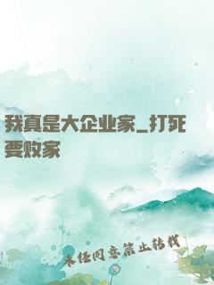 我真是大企业家