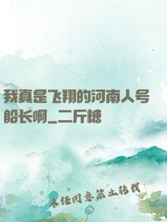 我真是飞翔的河南人号船长啊