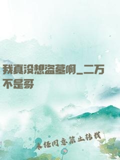 我真没想盗墓啊