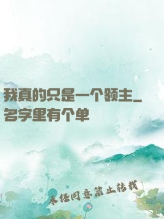 我真的只是一个领主