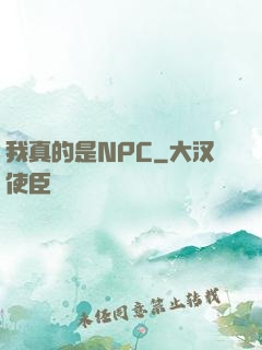 我真的是NPC