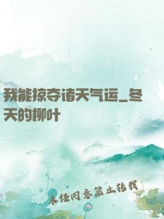 我能掠夺诸天气运