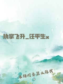 执掌飞升