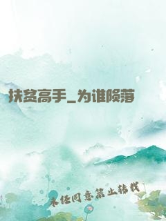 扶贫高手