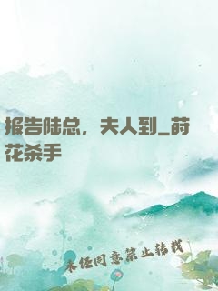 报告陆总，夫人到