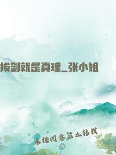 拔剑就是真理