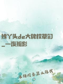 拽丫头de大牌校草们