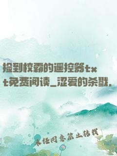 捡到校霸的遥控器txt免费阅读