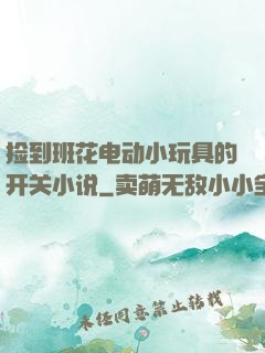 捡到班花电动小玩具的开关小说