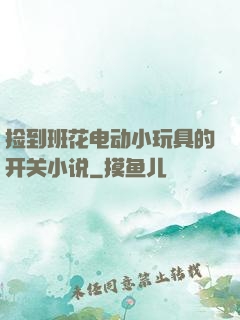 捡到班花电动小玩具的开关小说