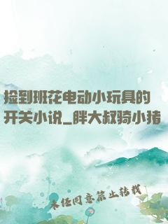 捡到班花电动小玩具的开关小说