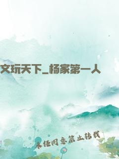 文玩天下