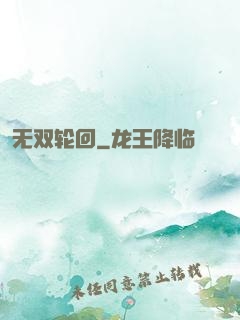 无双轮回