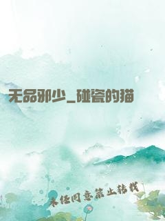 无品邪少
