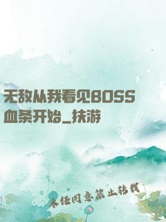 无敌从我看见BOSS血条开始