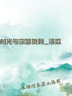 时光与你皆负我