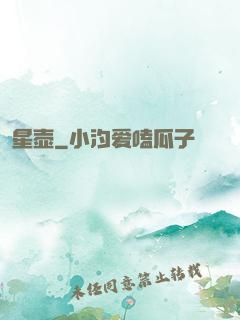 星壶