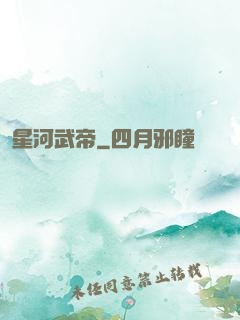 星河武帝