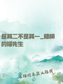 是其二不是其一