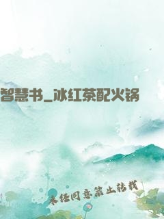 智慧书
