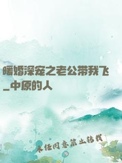 暖婚深宠之老公带我飞