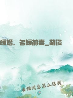 暖婚，名媛前妻