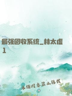 最强回收系统