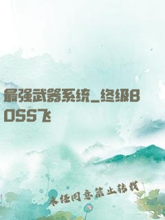 最强武器系统