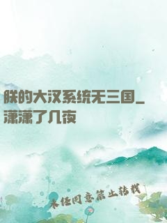 朕的大汉系统无三国