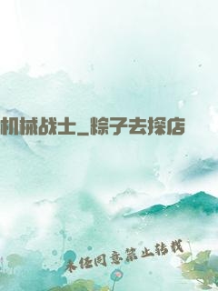 机械战士
