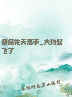 极品先天高手
