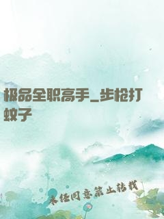 极品全职高手