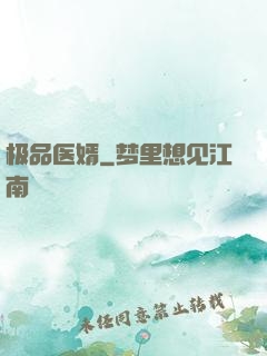 极品医婿