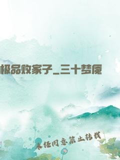 极品败家子