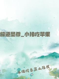 极道圣尊