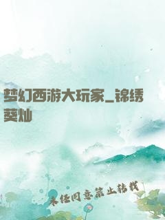 梦幻西游大玩家