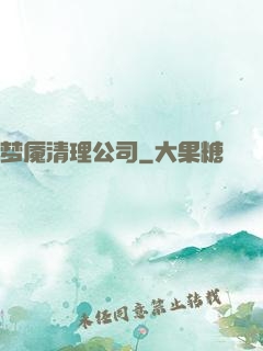 梦魇清理公司