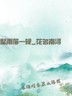 梨雨落一砚