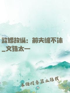 欲婚故纵：前夫缠不休