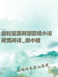 武松金莲颠倒鸾凤小说免费阅读