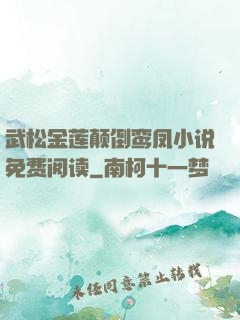 武松金莲颠倒鸾凤小说免费阅读