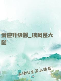 武道升级器