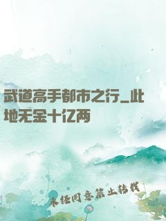 武道高手都市之行