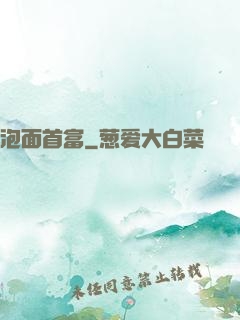泡面首富