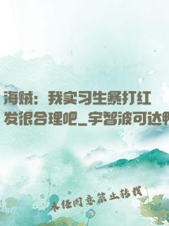 海贼：我实习生暴打红发很合理吧