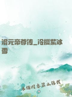 混元帝尊传
