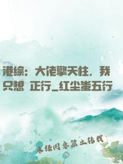 港综：大佬擎天柱，我只想揾正行