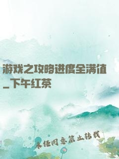 游戏之攻略进度全满值