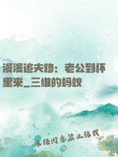 漫漫追夫路：老公到怀里来