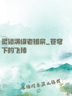 灵修满级老祖宗